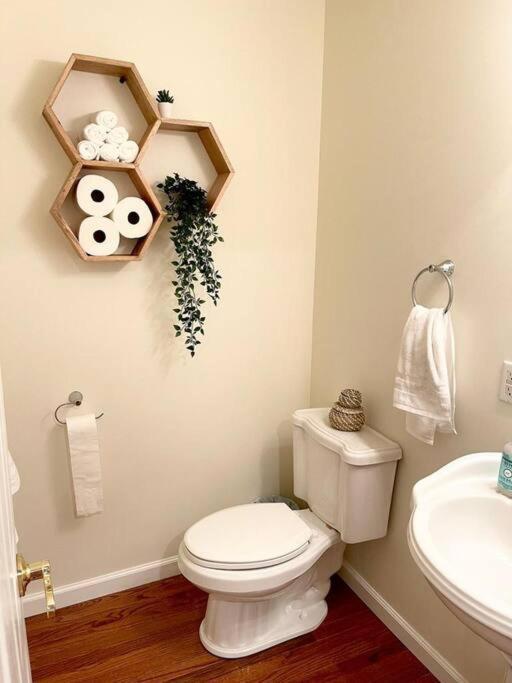 Spacious Family Friendly Home Near Massanutten And National Park McGaheysville Exteriör bild
